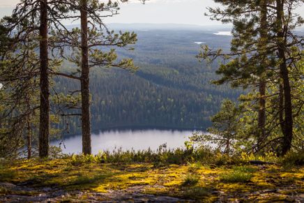 Finland