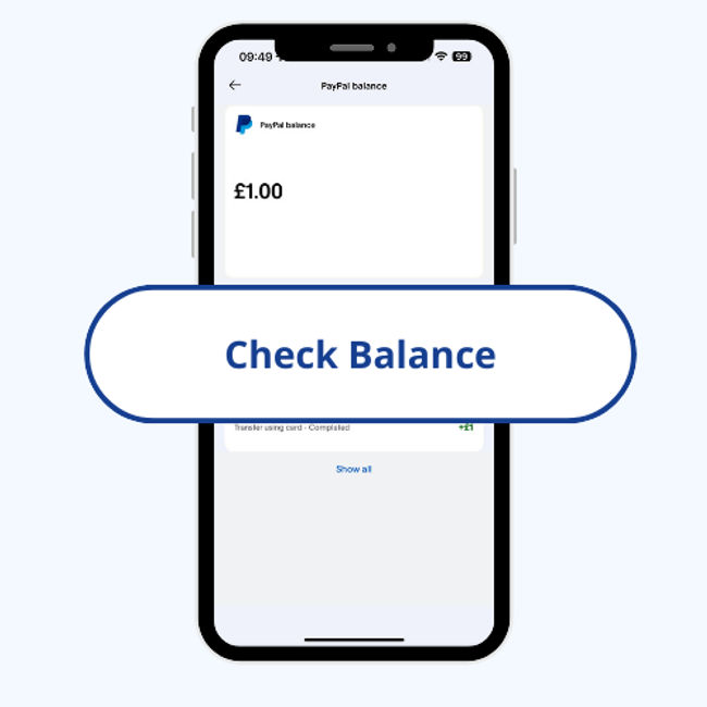 Check balance