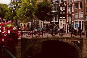 Netherlands.jpg