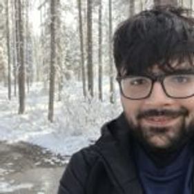 Mehdi Punjwani