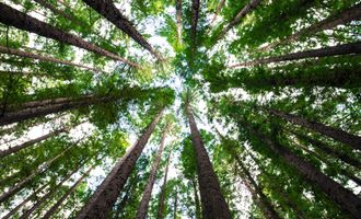 Revealed: Cost of Living Crisis Has Not Reduced Support For Climate Policies