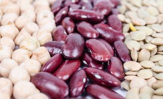 Viandes vs substituts de viandes : quelles économies réaliser avec les alternatives végétales ?