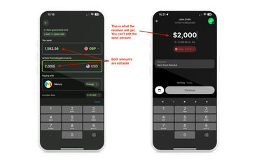 Screenshot of Wise and Revolut fields for entering transfer amounts.