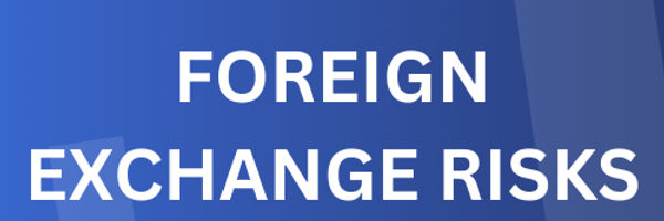 Foreign exchange rates risks